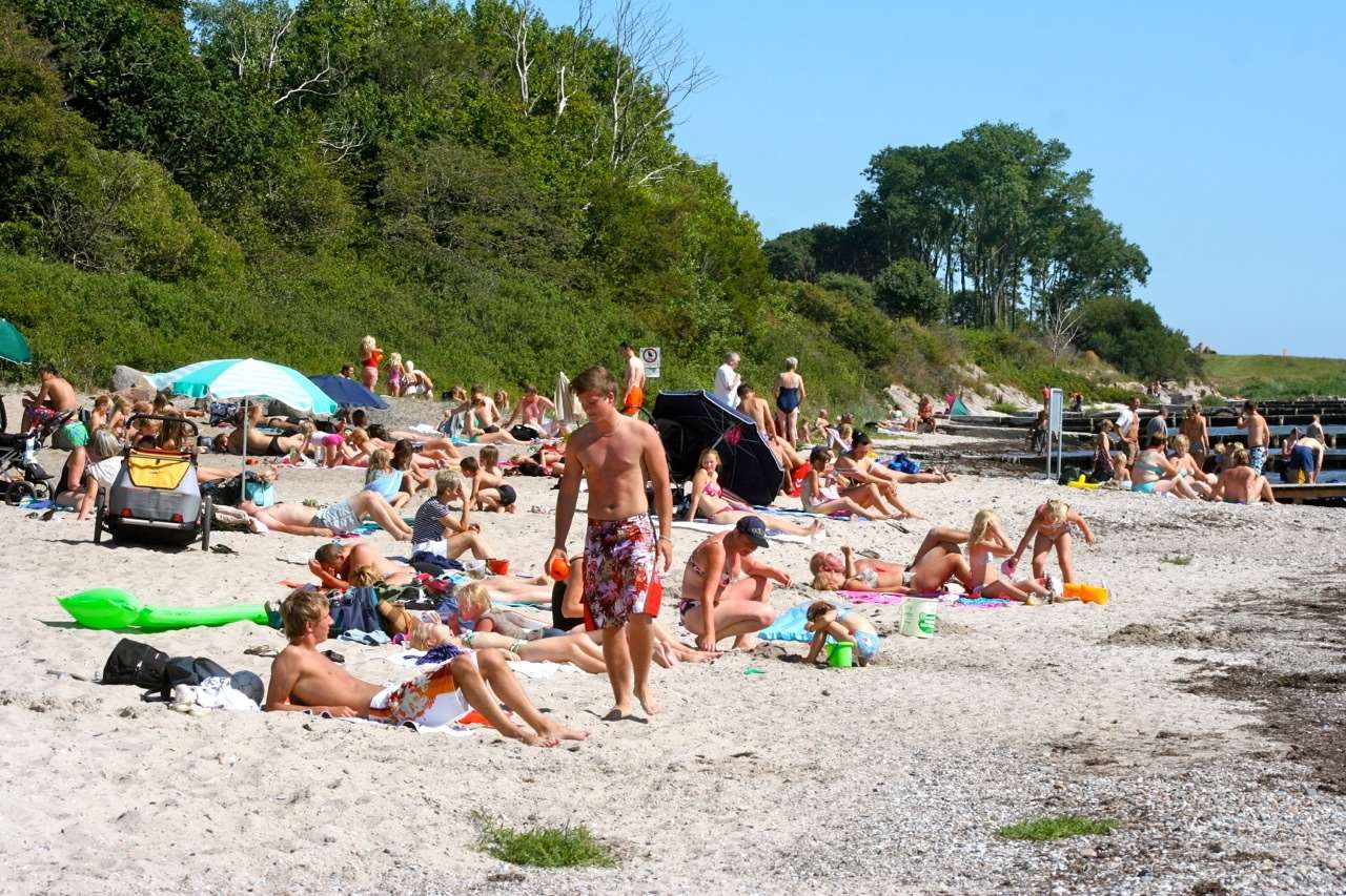 Sønderborg Camping — photo 7